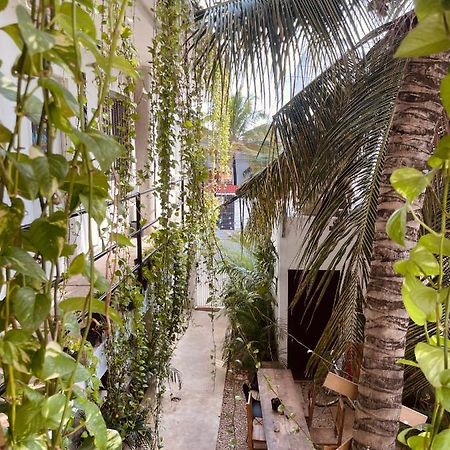 Hotel Anana Coliving Playa del Carmen Exterior foto