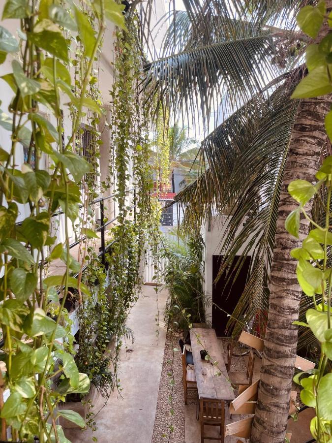 Hotel Anana Coliving Playa del Carmen Exterior foto