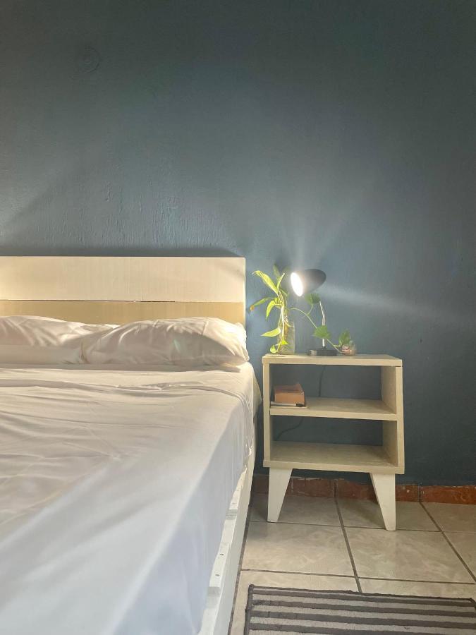 Hotel Anana Coliving Playa del Carmen Exterior foto