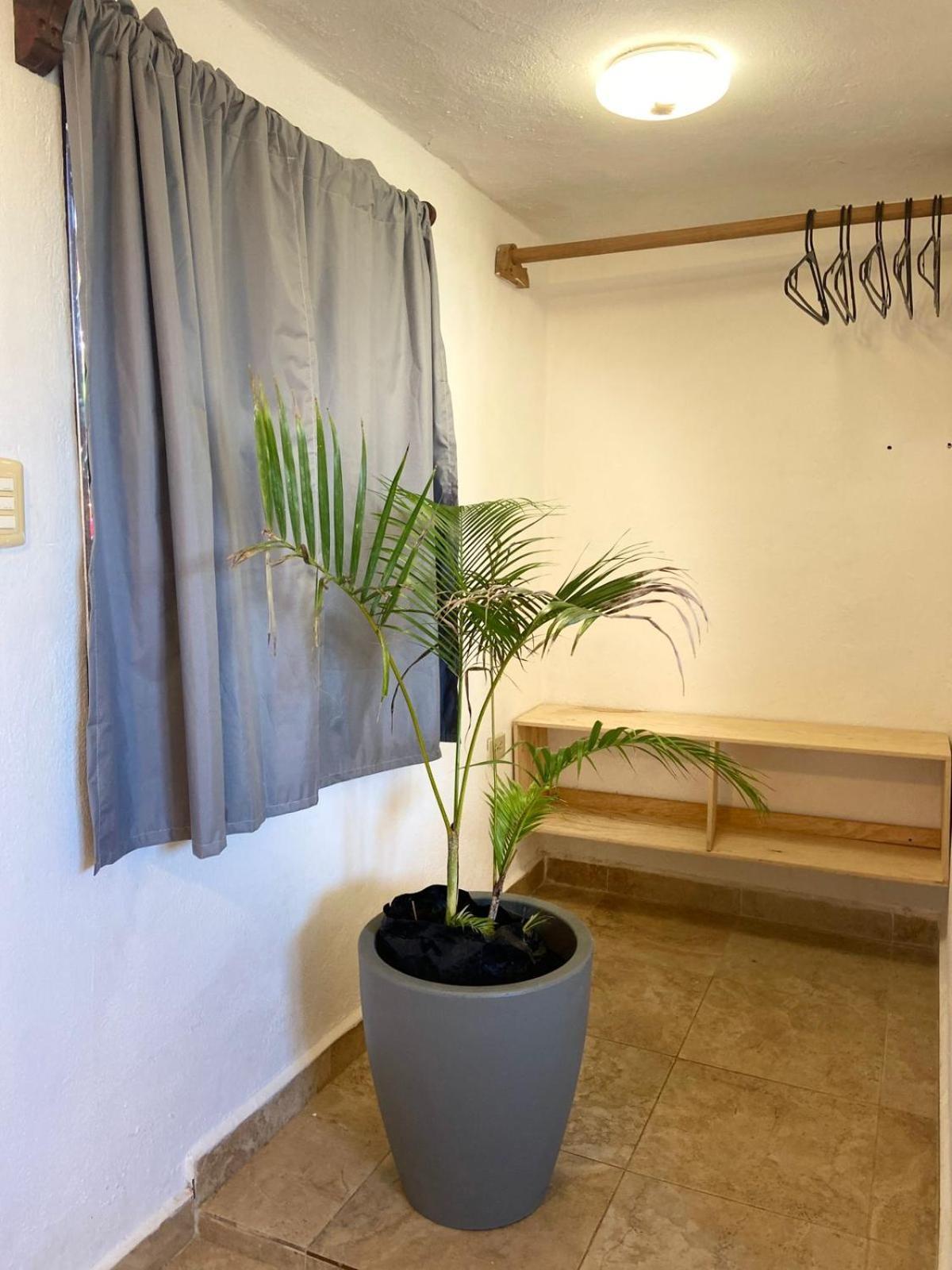 Hotel Anana Coliving Playa del Carmen Exterior foto