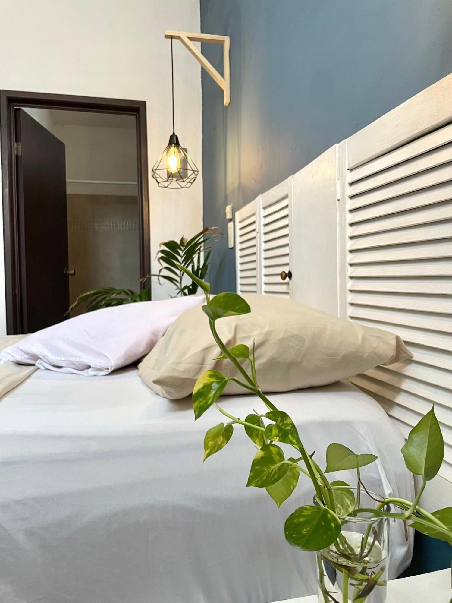 Hotel Anana Coliving Playa del Carmen Exterior foto